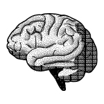 Image of a black and white brain